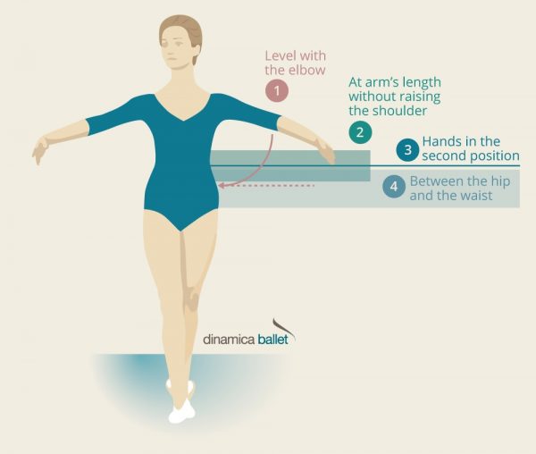 How high should a ballet barre be? | Dinamica Ballet